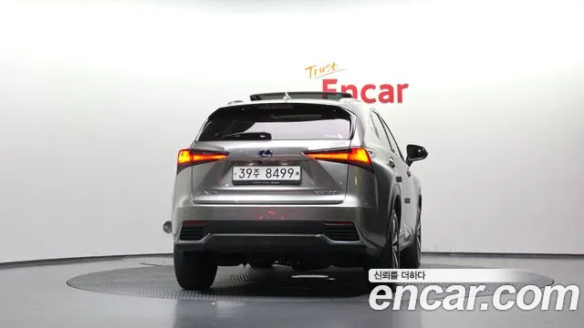 Lexus NX 2019 thumb 4
