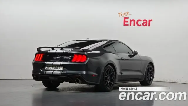 Ford Mustang Mach-E 2019 thumb 2