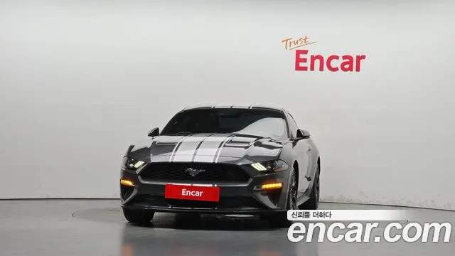 Ford Mustang Mach-E 2019 thumb 3