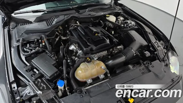 Ford Mustang Mach-E 2020 thumb 6