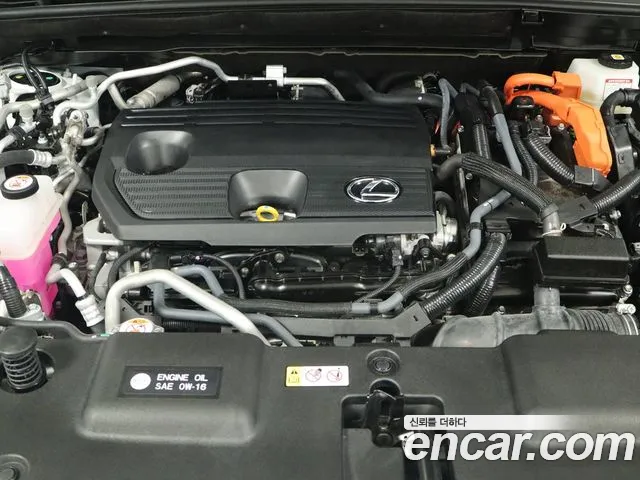Lexus NX 2025 thumb 6