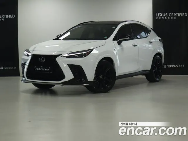 Lexus NX 2025 thumb 12