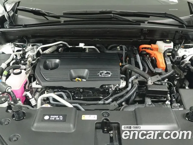 Lexus NX 2025 thumb 6