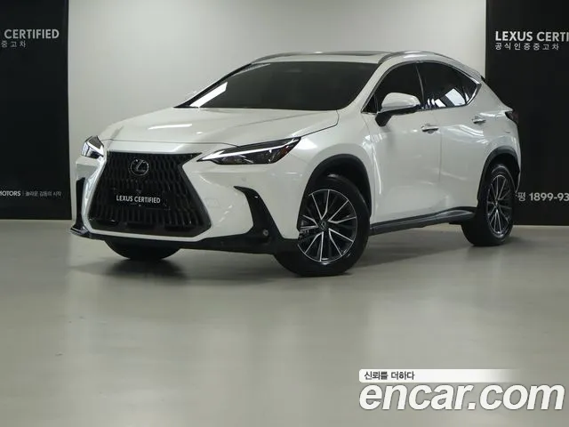 Lexus NX 2025 thumb 12