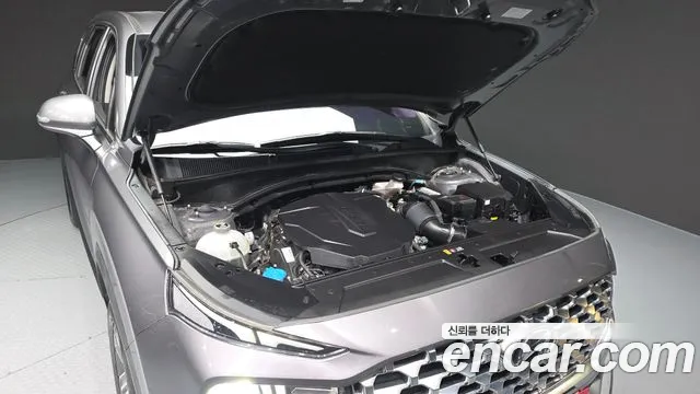 Hyundai Santa Fe 2020 thumb 6