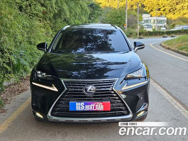Lexus NX 2019 thumb 2