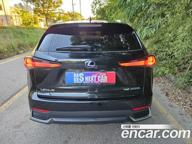 Lexus NX 2019 thumb 4