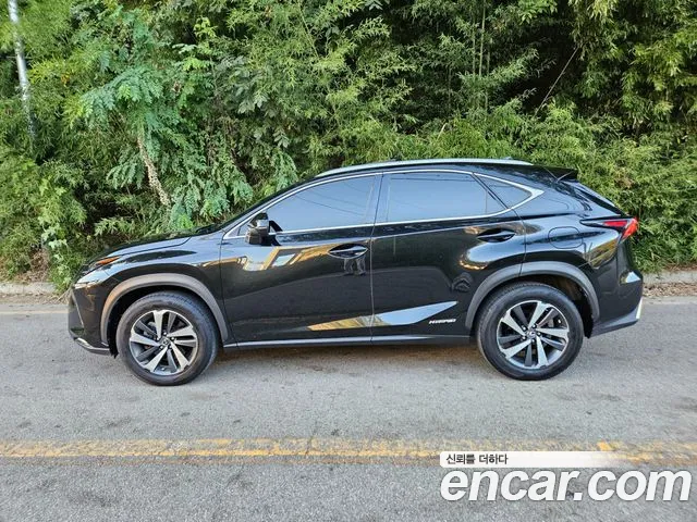 Lexus NX 2019 thumb 5