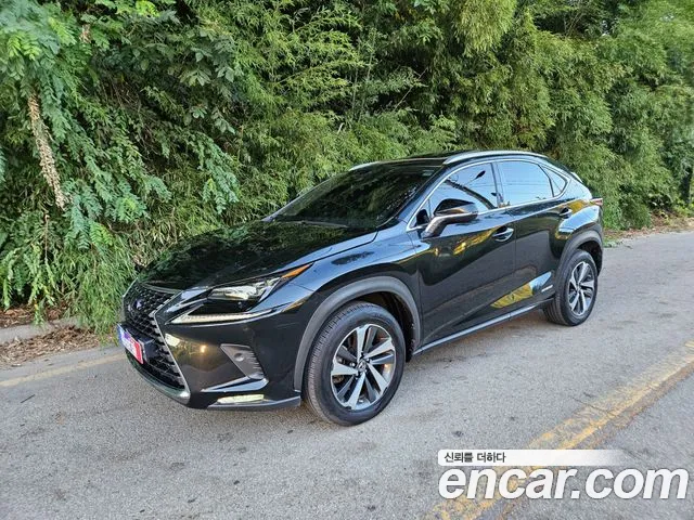 Lexus NX 2019 thumb 11