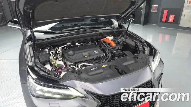 Lexus NX 2022 thumb 6