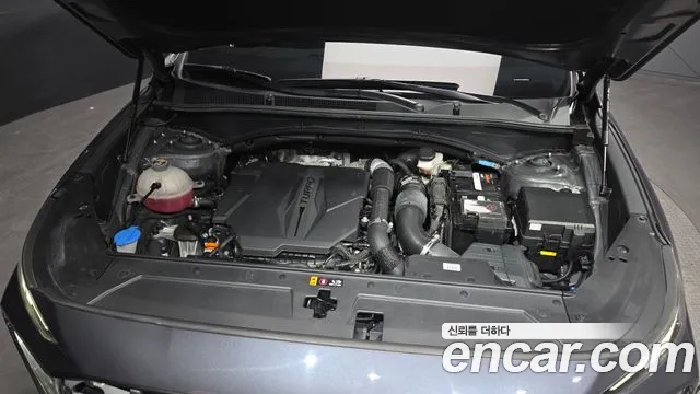Hyundai Santa Fe 2021 thumb 6