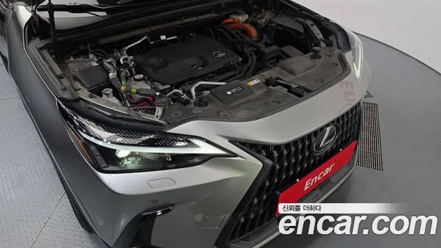 Lexus NX 2023 thumb 6