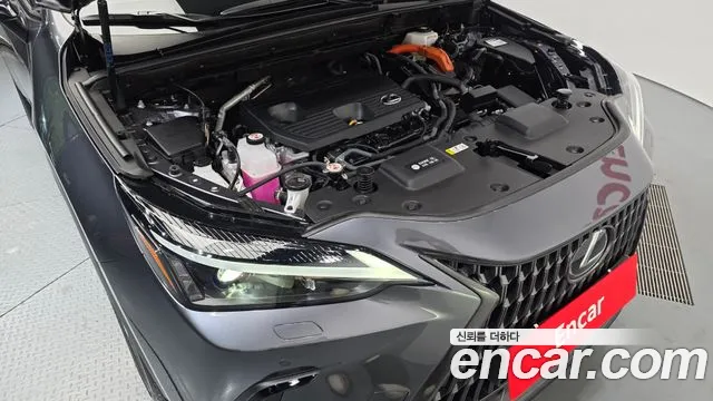 Lexus NX 2024 thumb 6