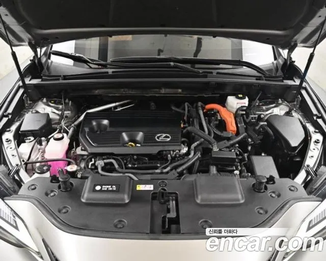 Lexus NX 2024 thumb 6