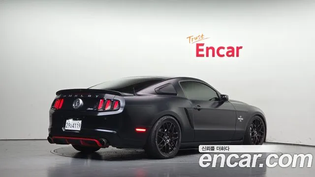Ford Mustang Mach-E 2010 thumb 2