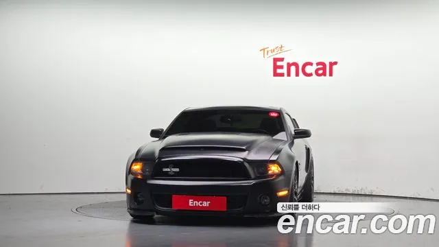 Ford Mustang Mach-E 2010 thumb 3