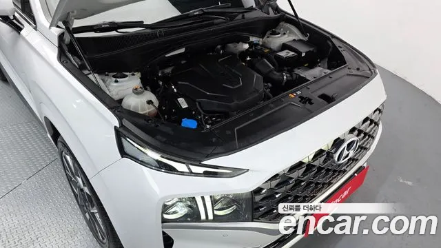 Hyundai Santa Fe 2020 thumb 6