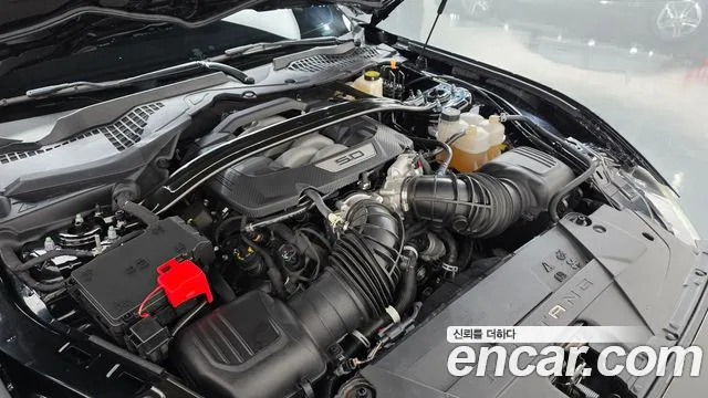 Ford Mustang Mach-E 2024 thumb 6