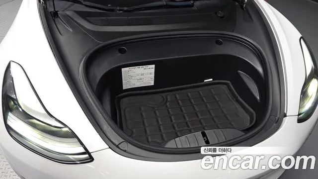 Tesla Model 3 2021 thumb 6
