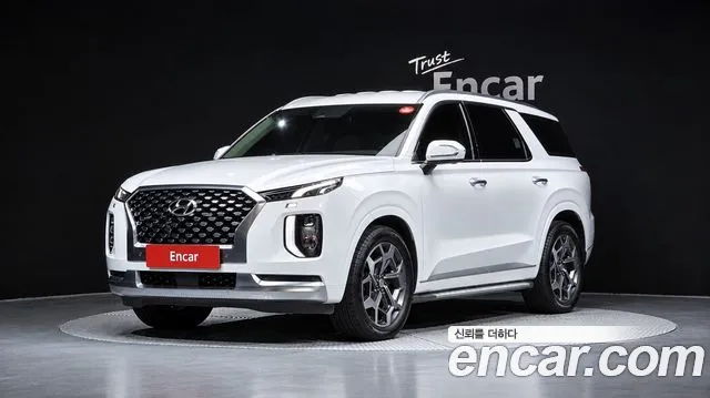 Hyundai Palisade 2020 thumb 11