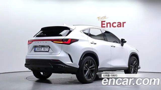 Lexus NX 2025 thumb 2