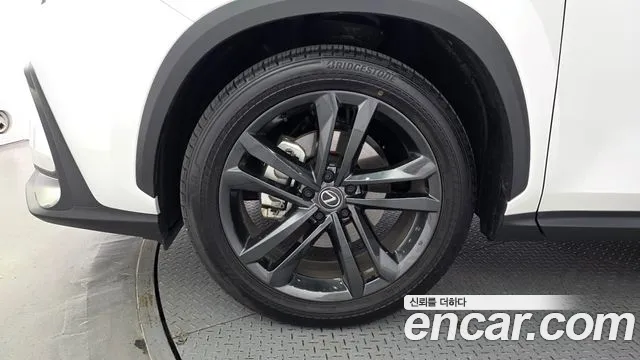 Lexus NX 2025 thumb 5
