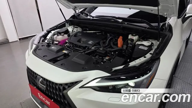 Lexus NX 2025 thumb 6