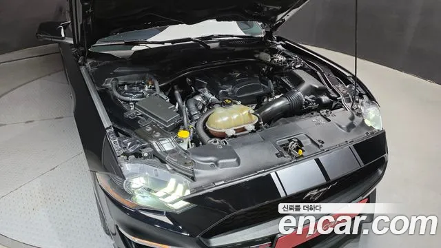 Ford Mustang Mach-E 2019 thumb 6