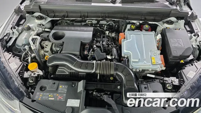 Renault-KoreaSamsung Arkana 2024 thumb 5