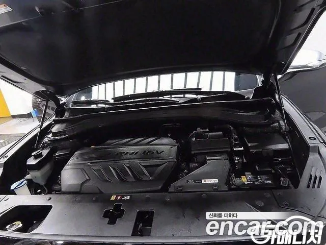 Hyundai Santa Fe 2019 thumb 6