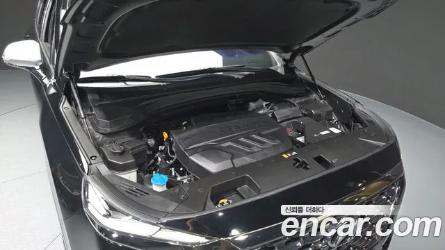 Hyundai Santa Fe 2019 thumb 6