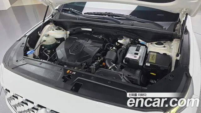 Hyundai Santa Fe 2020 thumb 6