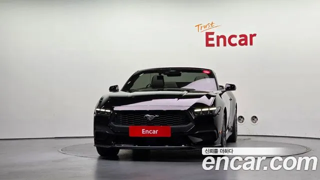 Ford Mustang Mach-E 2025 thumb 3