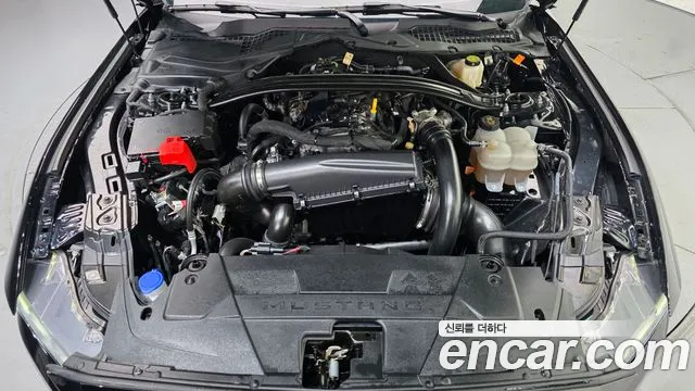 Ford Mustang Mach-E 2025 thumb 6