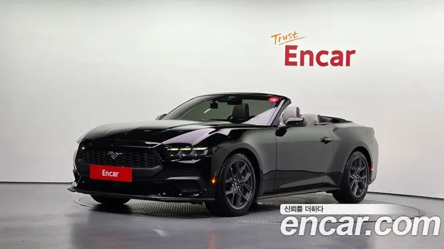 Ford Mustang Mach-E 2025 thumb 12