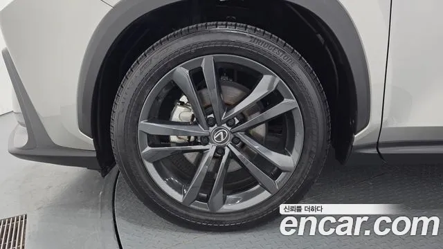 Lexus NX 2025 thumb 5