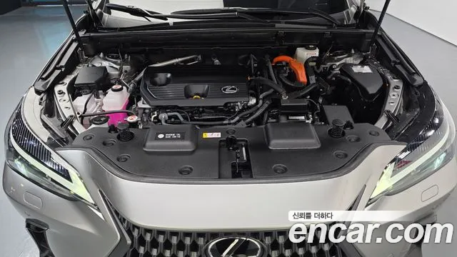 Lexus NX 2025 thumb 6