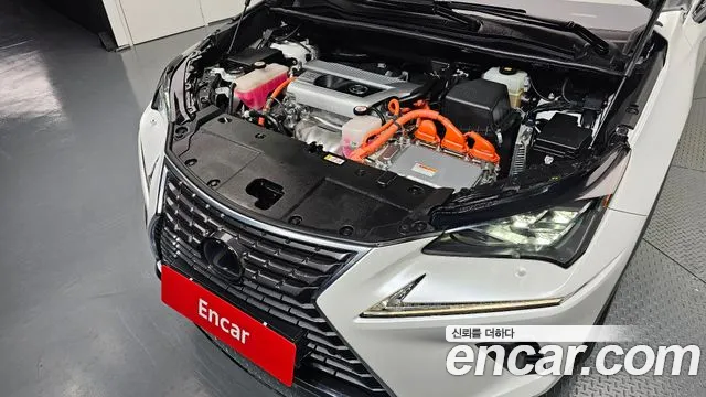 Lexus NX 2019 thumb 6