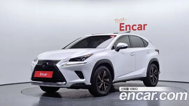Lexus NX 2019 thumb 11