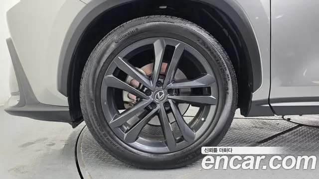 Lexus NX 2022 thumb 4
