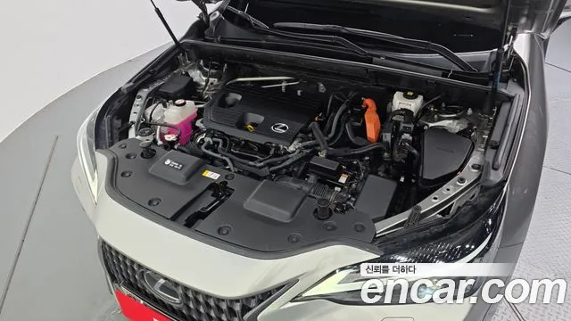 Lexus NX 2022 thumb 5