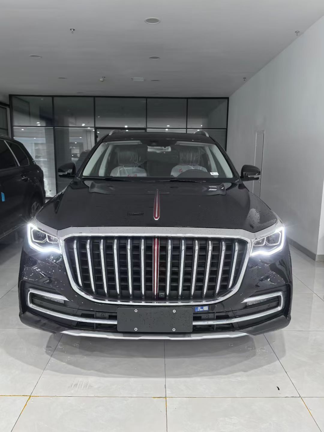 Hongqi HS7 2022 thumb 3