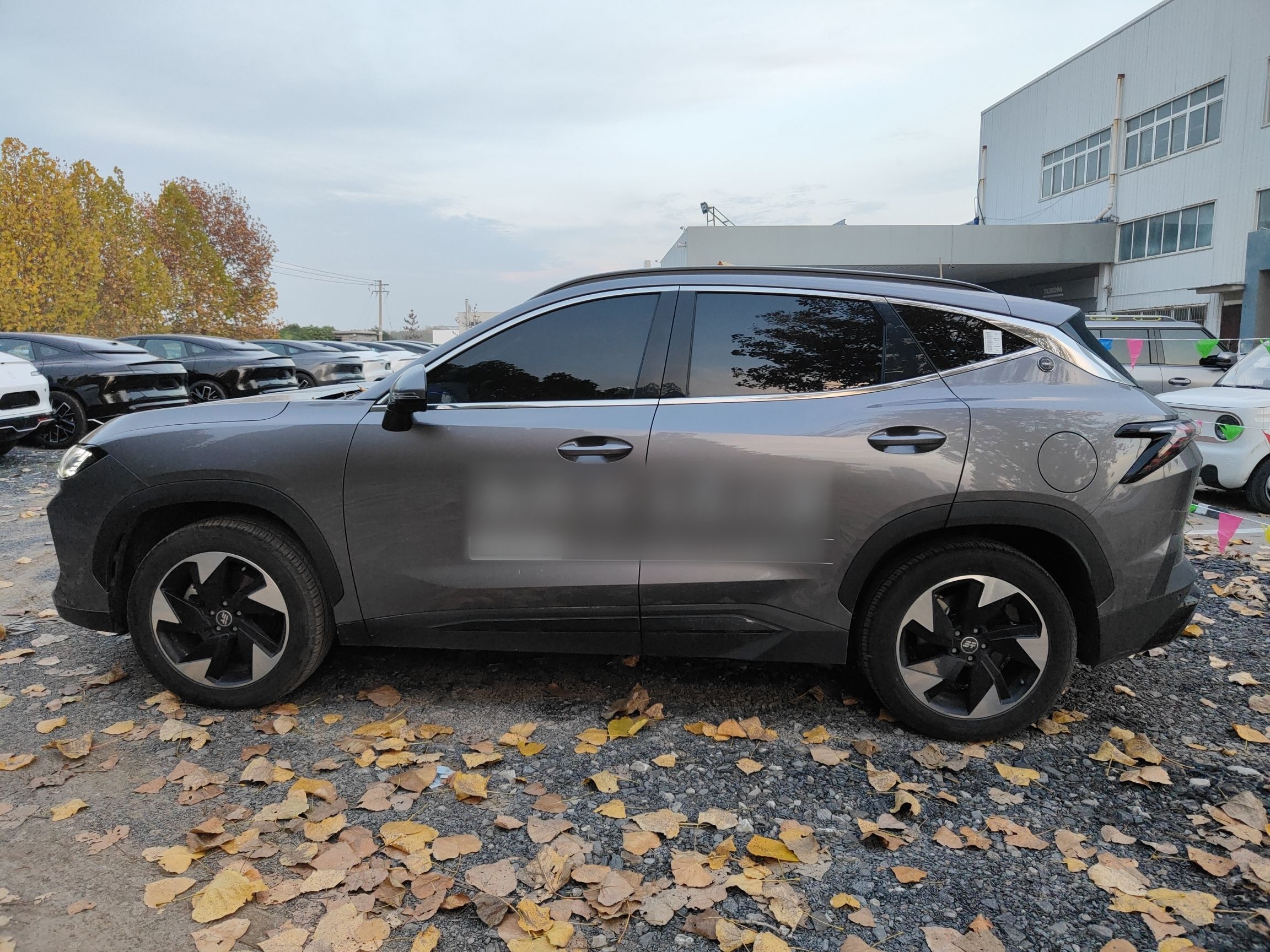 Jetour Shanhai L6 2024 thumb 4