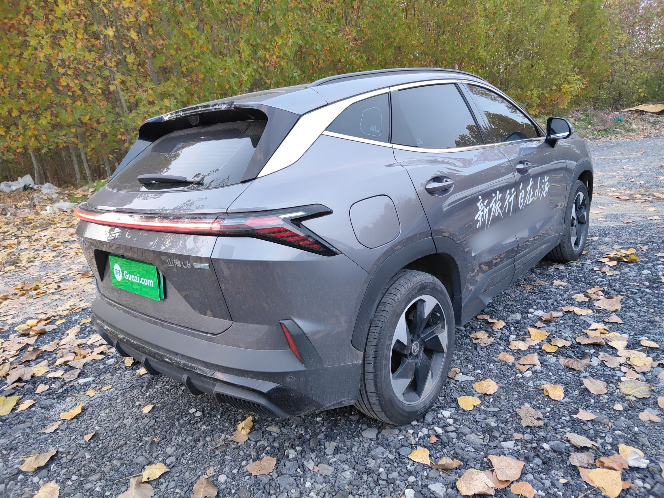 Jetour Shanhai L6 2024 thumb 6