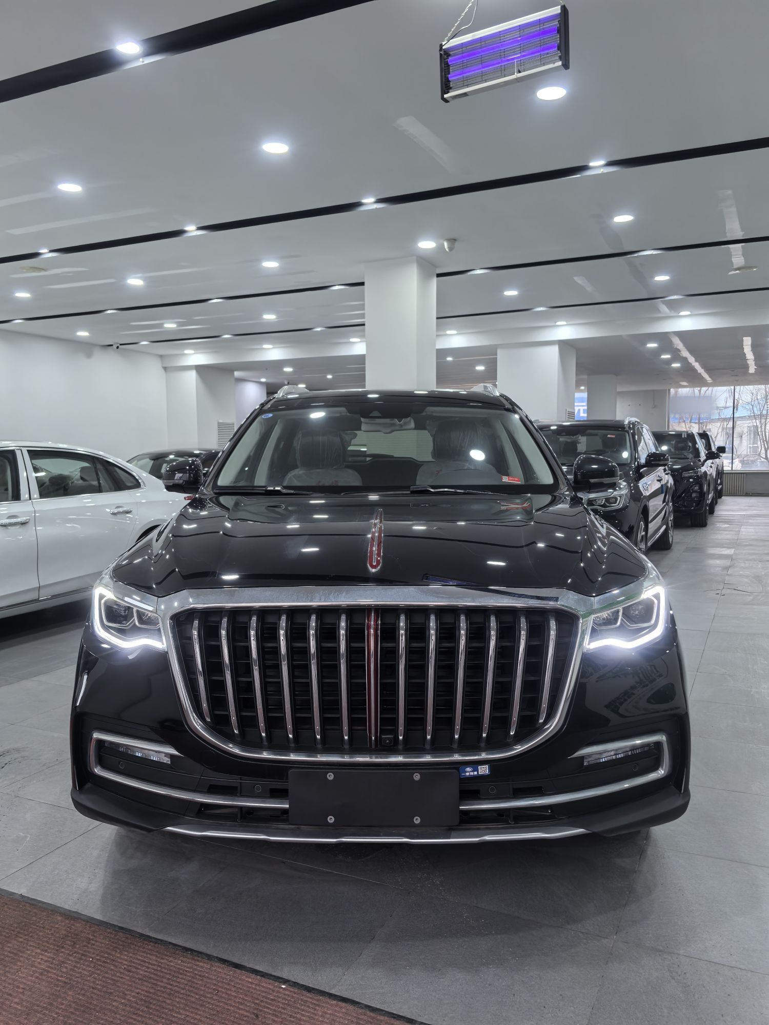 Hongqi HS7 2022 thumb 5
