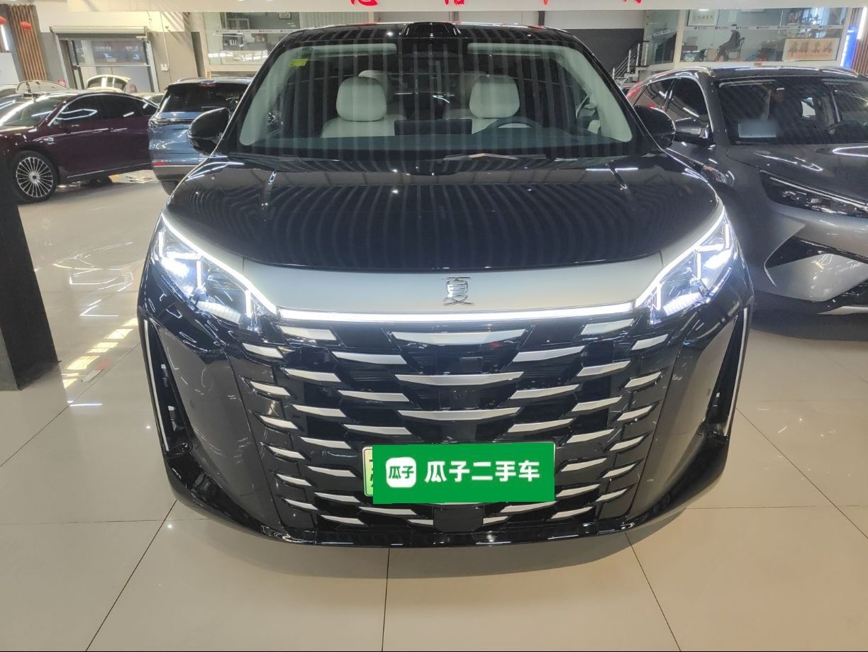 BYD Xia 2026 thumb 2